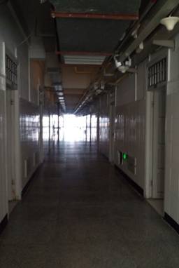 BC6D1226014FAC2C1E4498286356C776